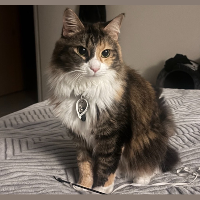 Photo of Lexi