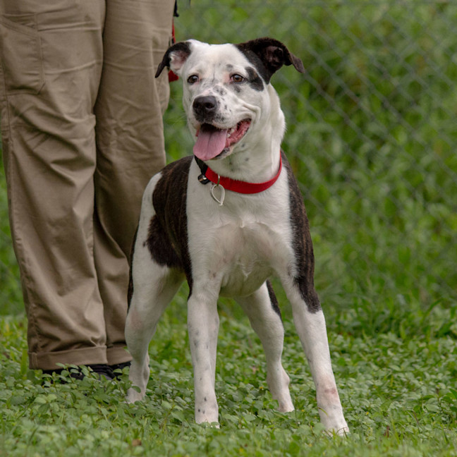 Photo of Nyla