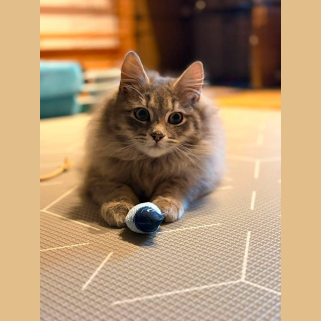 Photo of Jimmy