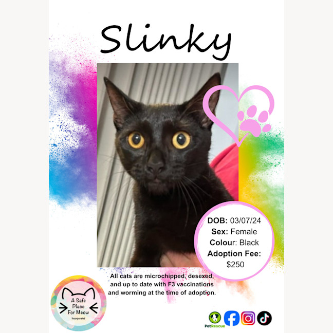 Photo of Slinky