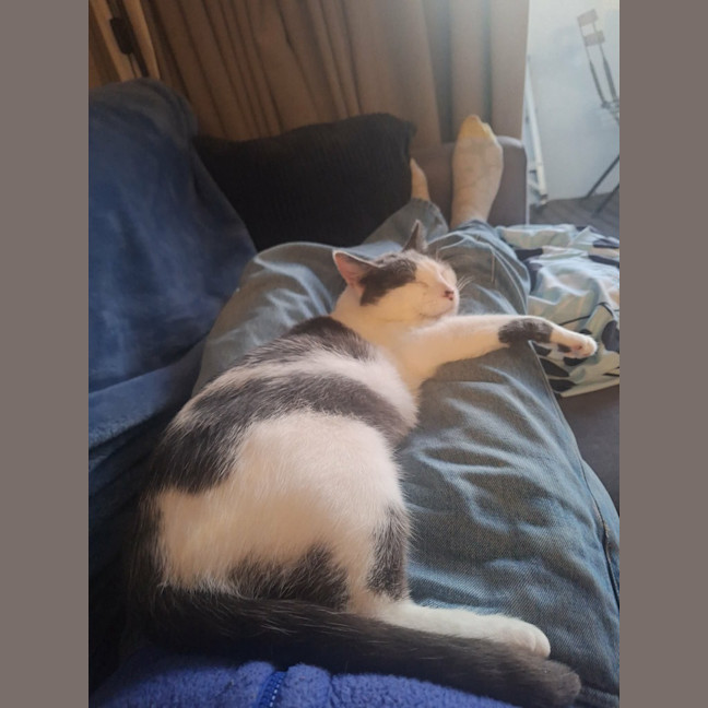 Photo of Daisy