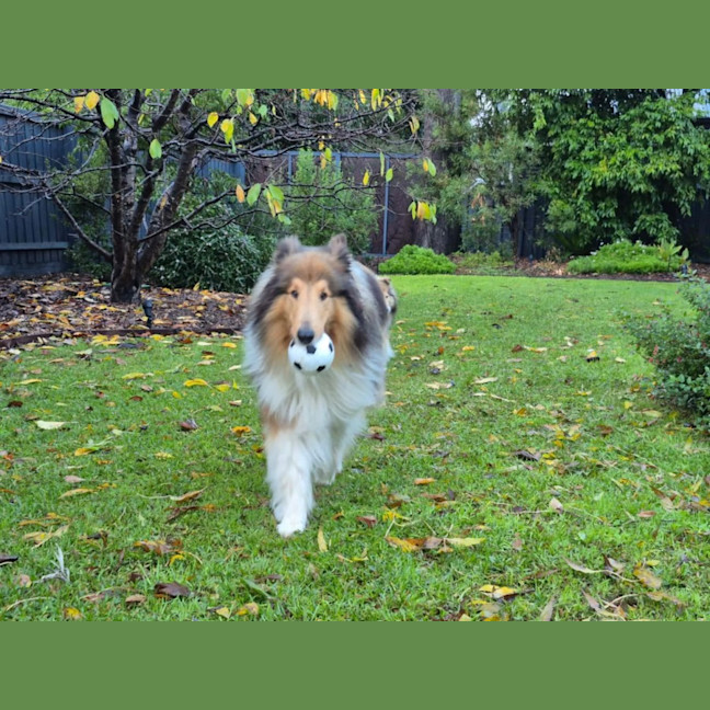 Photo of Buddy & Lilly