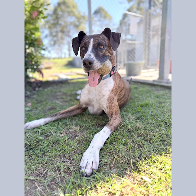 Photo of Xena