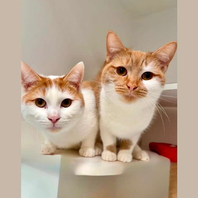 Photo of Dottie And Tyrone