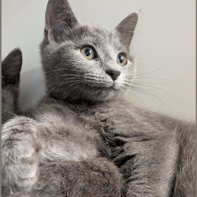 Photo of Sugar