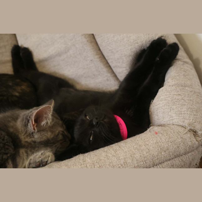 Photo of Wednesday