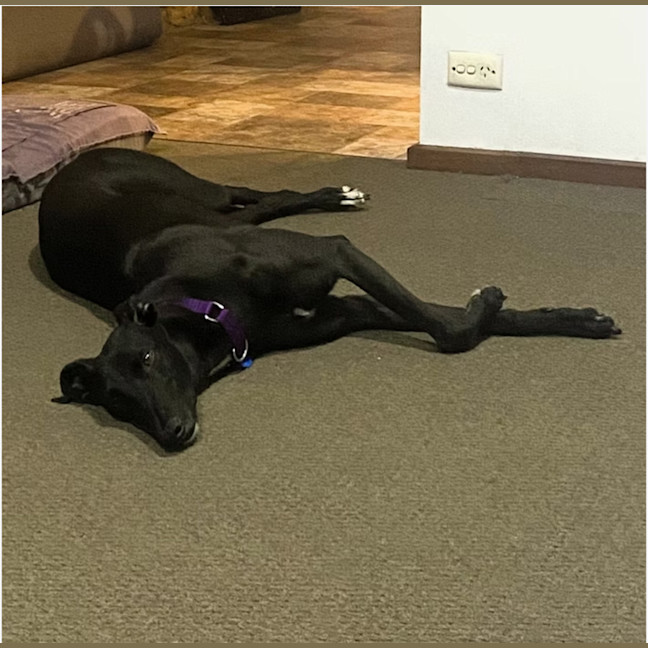 Photo of Jill