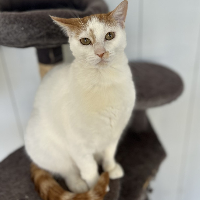 Photo of Pearl