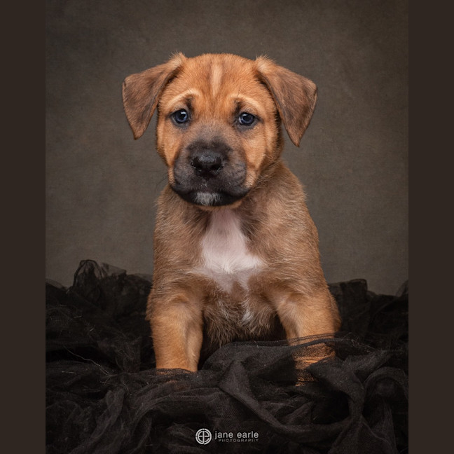 Photo of Spud