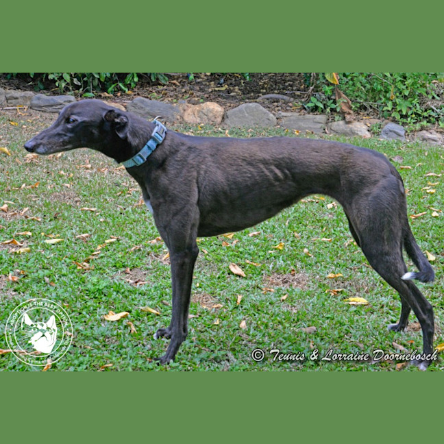 Photo of Conno (Kevin's Girl)