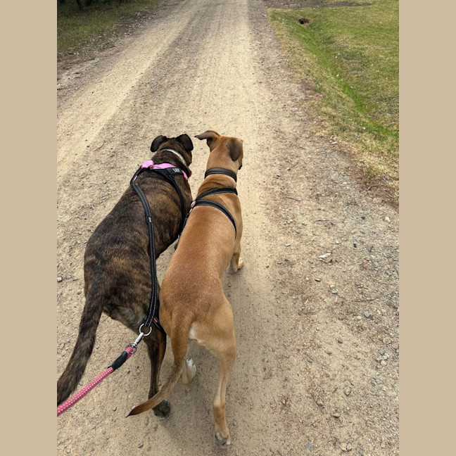 Photo of Gilderoy Lockhart