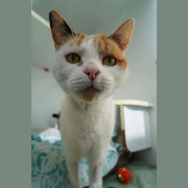 Photo of Bingo
