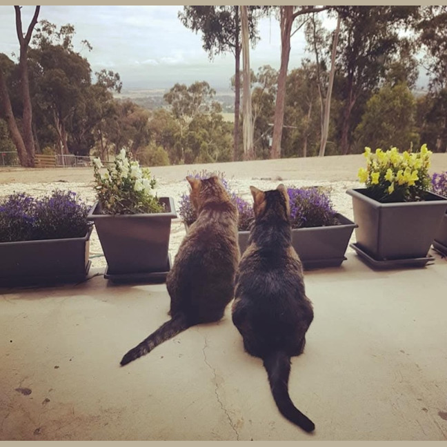 Photo of Seeker & Luna