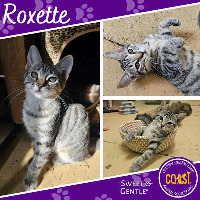 Photo of Roxette