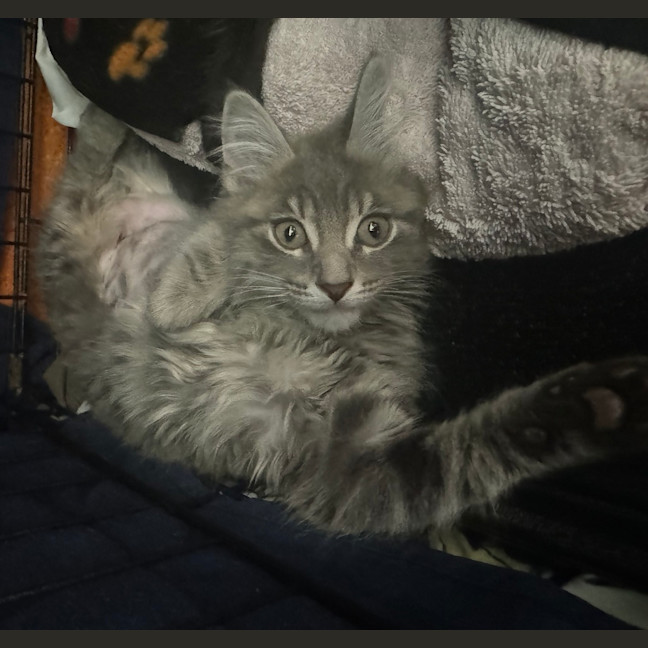 Photo of Elsa