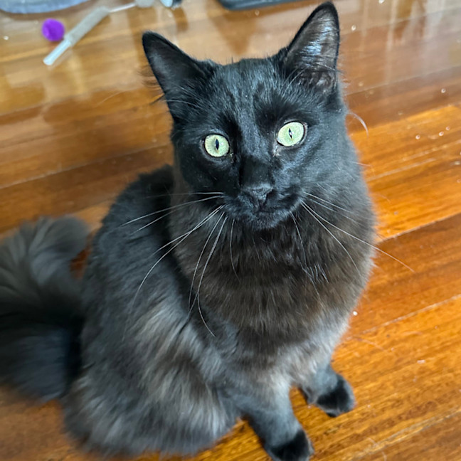 Photo of Max