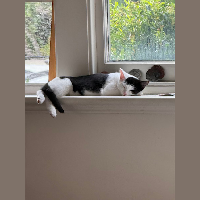 Photo of Pumpkin And Feta