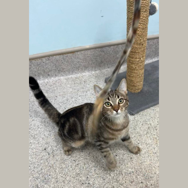 Photo of Thelma & Louise