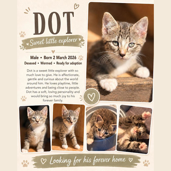 Photo of Dot