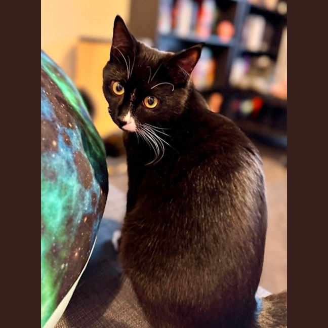 Photo of Charlie