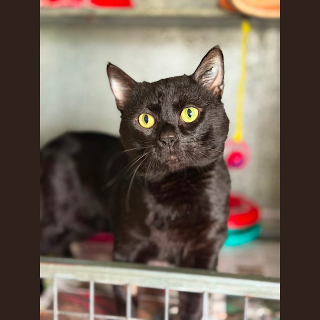 Photo of Mister