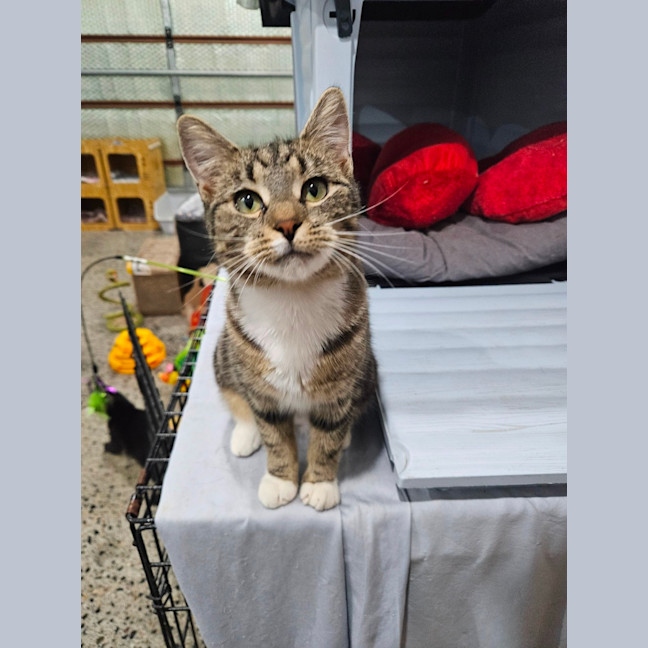 Photo of Hazel