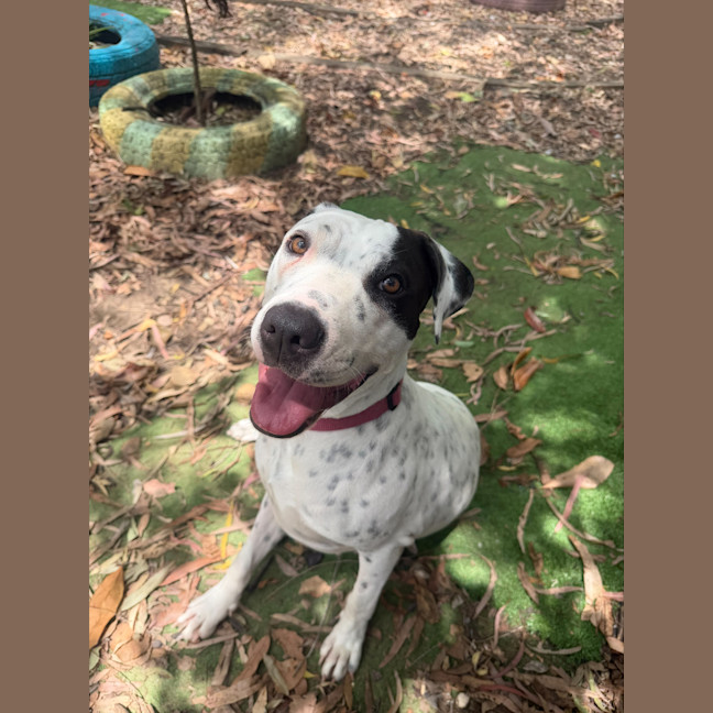 Photo of Matilda