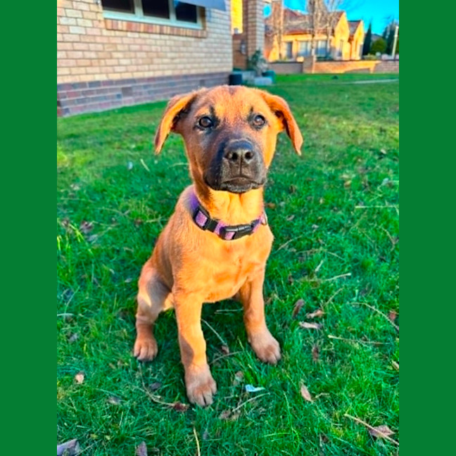 Photo of Lola