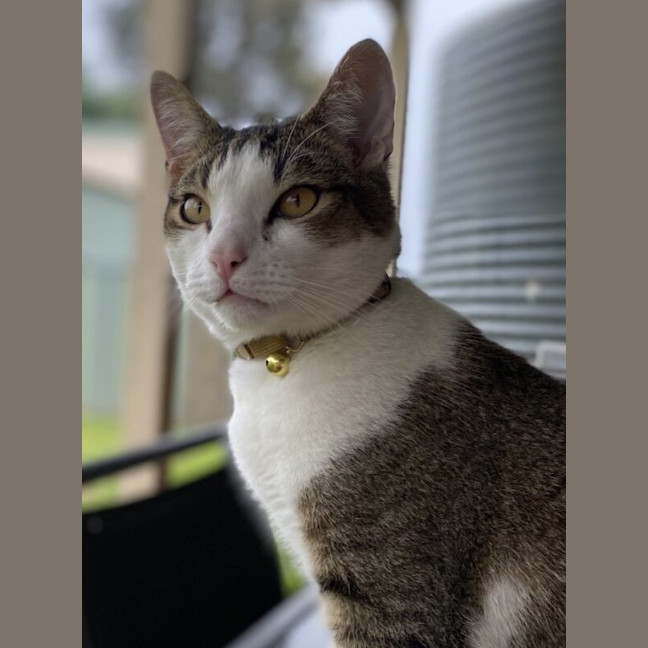 Photo of Mandu