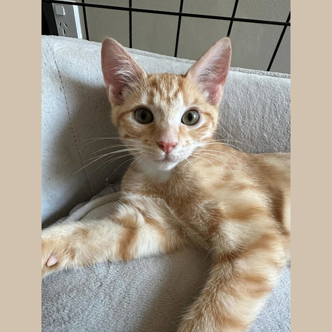 Photo of Daisy May ( Was Freya)