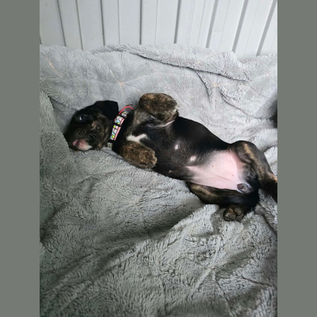 Photo of Xalia