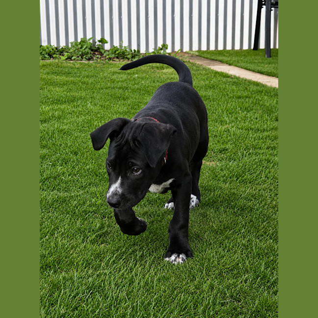 Photo of Hades