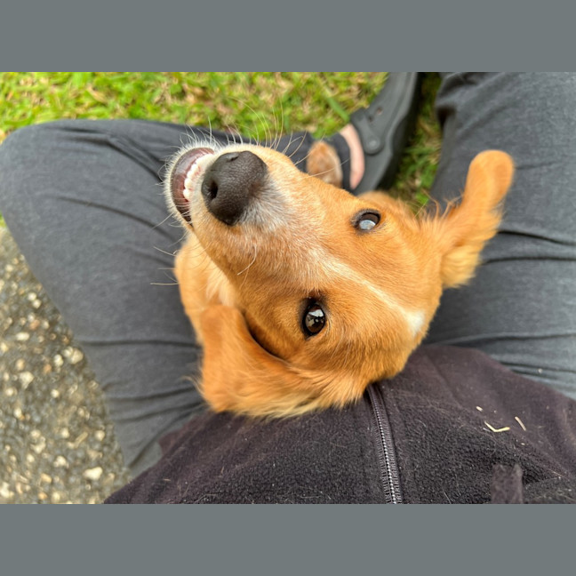 Photo of Albie