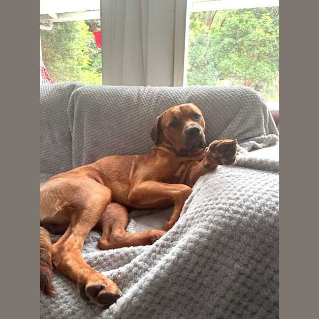 Photo of Wally