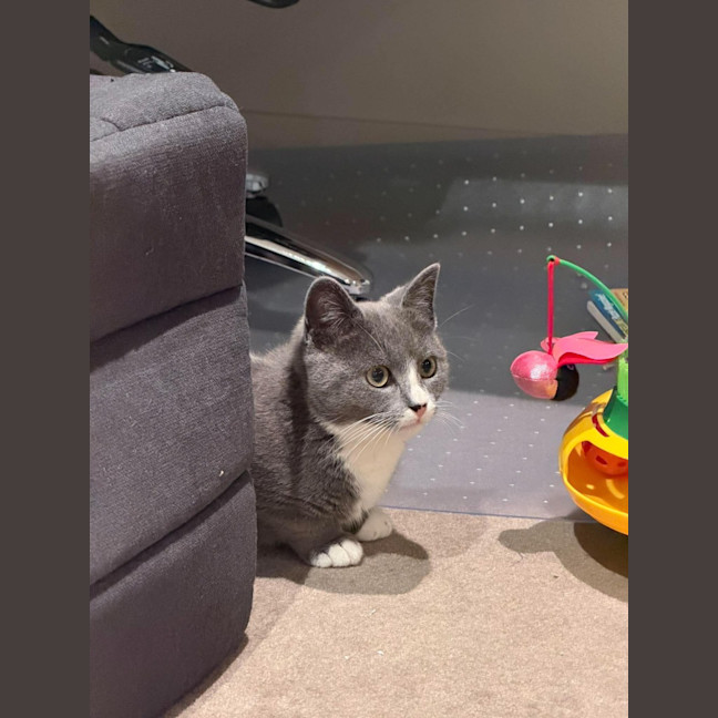 Photo of Gus