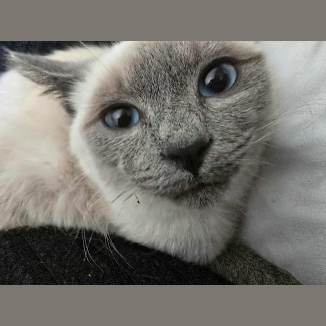Photo of Sprout