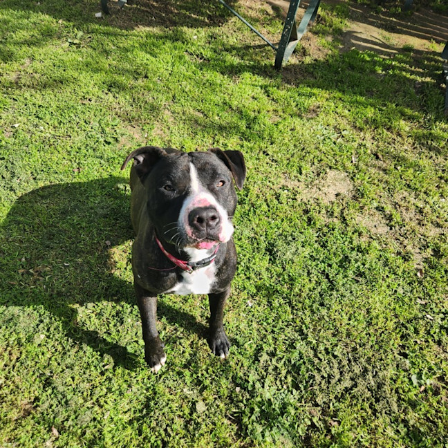 Photo of Hercules   63887