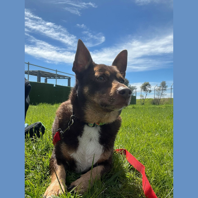 Photo of Mack