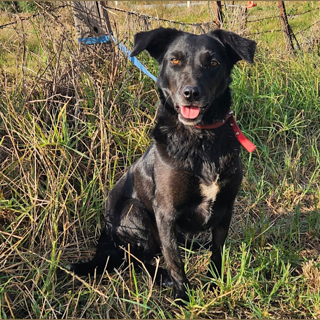 Photo of Peggy