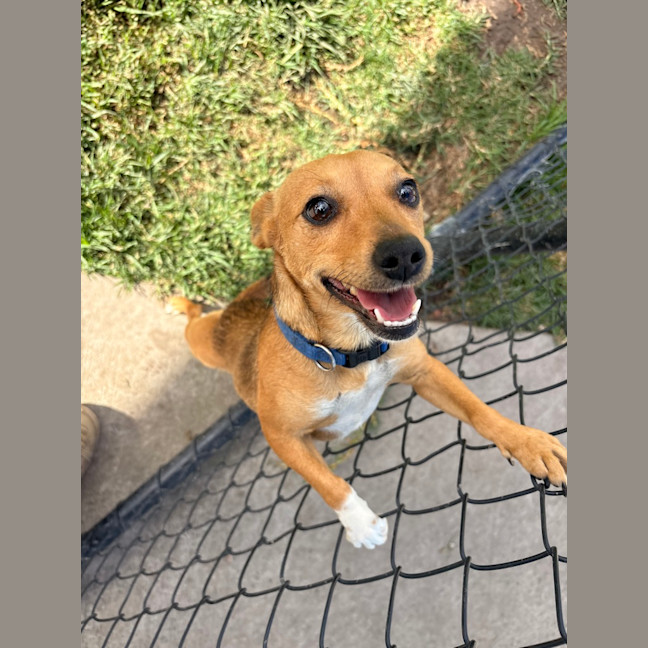 Photo of Bella
