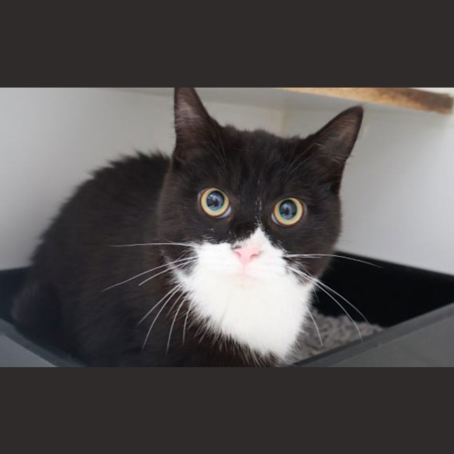 Photo of Itty Bitty