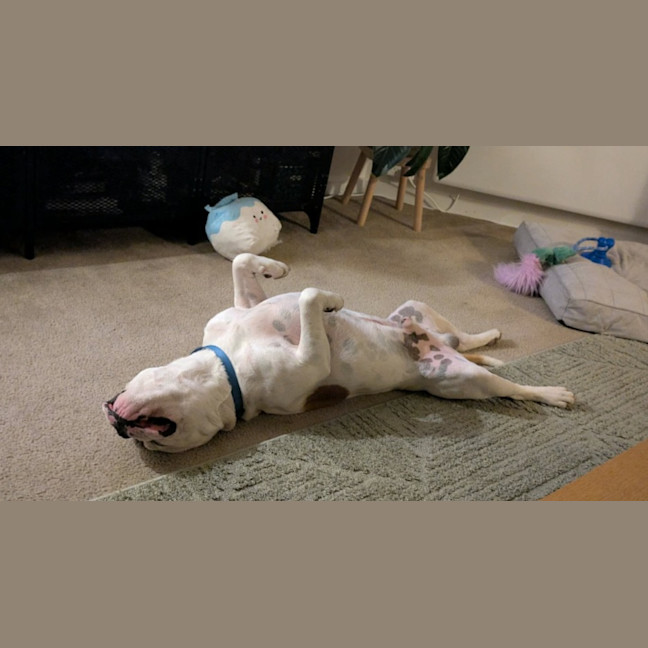 Photo of Travie