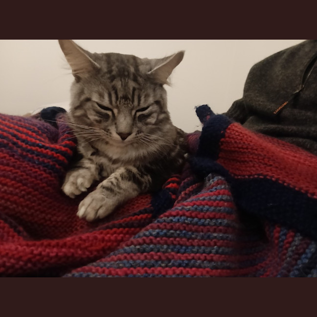Photo of Gideon