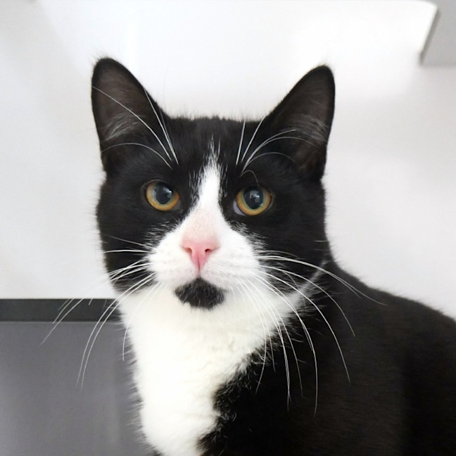 Photo of Bear Sta012860