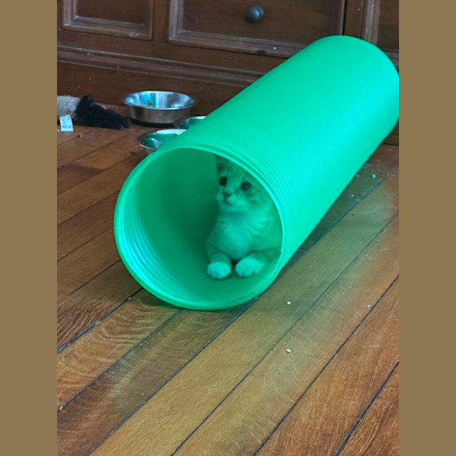 Photo of Odin