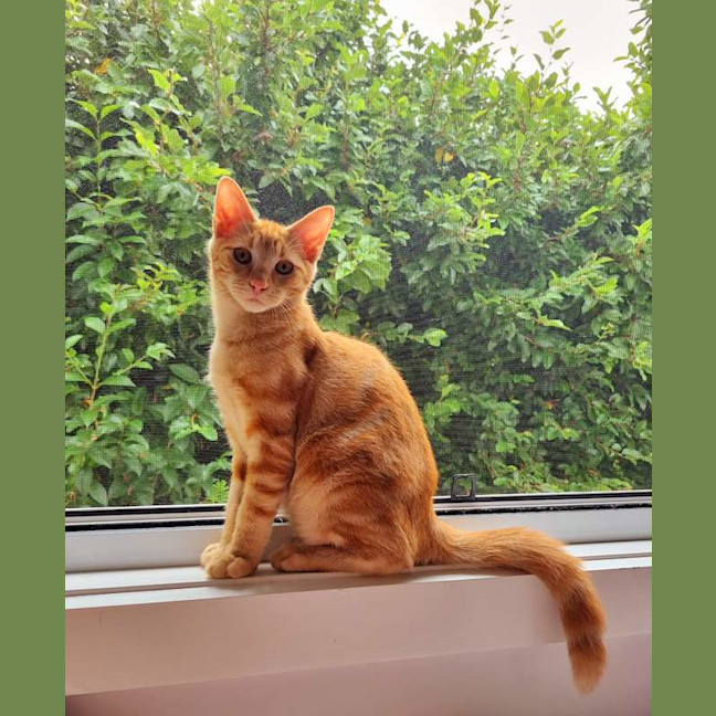 Photo of Maverick