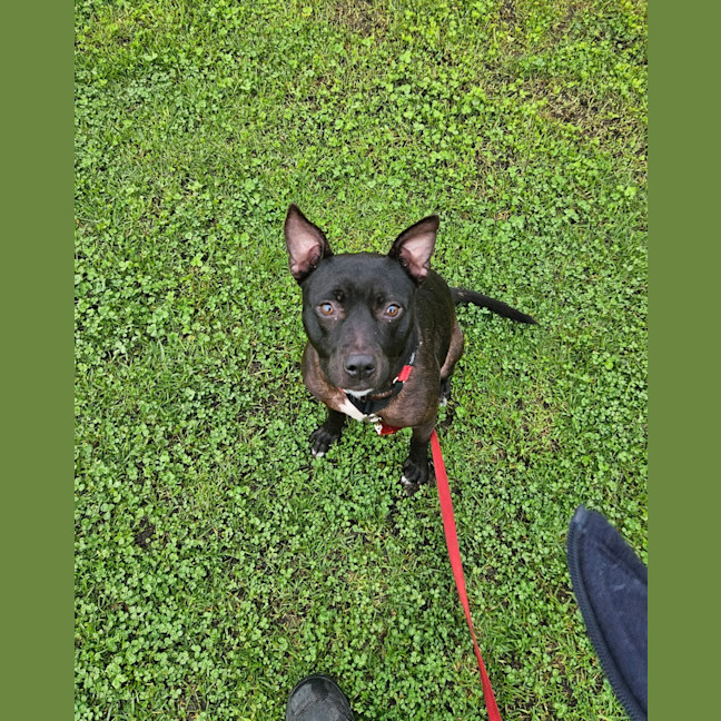 Photo of Nora