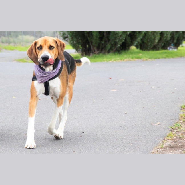 Photo of Lola Wilberforce