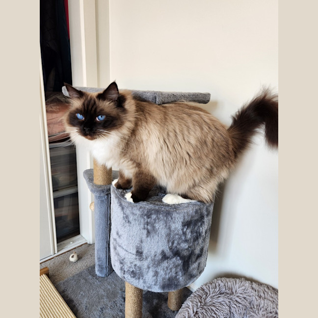 Photo of Arlo & Coco
