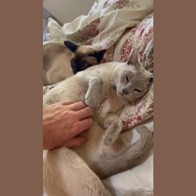 Photo of Mikki & Monty